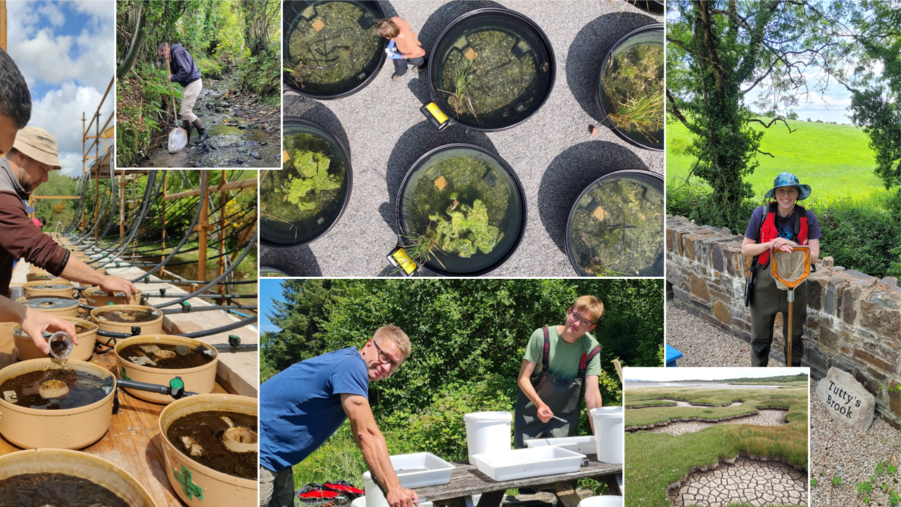 Poster for Marcin Penk coffee morning